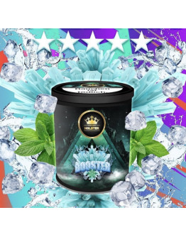 Holster Tobacco 200gr - Booster