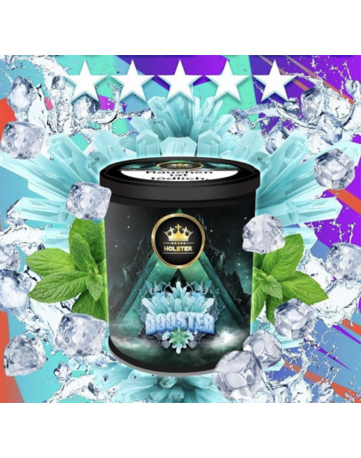 Holster Tobacco 200gr - Booster