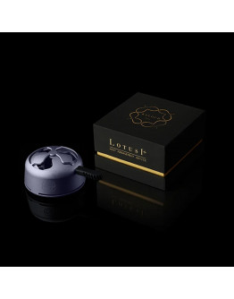 Kaloud Lotus I+ Violis