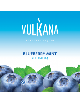 Vulkana 120gr - Blueberry Mint