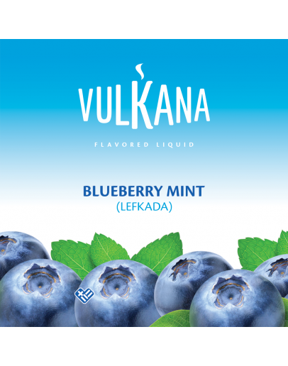 Vulkana 120gr - Blueberry Mint